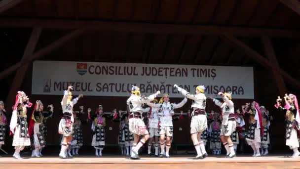 Тимисоара Румыния Июля 2019 Года Молодые Турецкие Танцоры Традиционном Костюме — стоковое видео