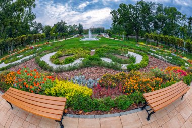 Central Park from Timisoara, Romanya