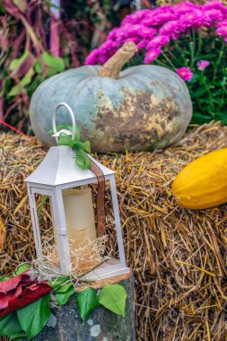 Balkabaklarıyla sonbahar düzenlemesi