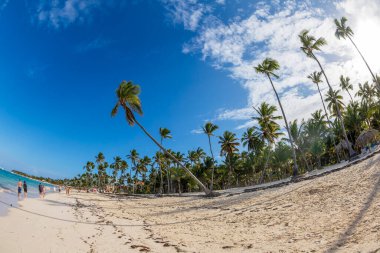 PUNTA CANA, DOMINICAN Cumhuriyet 11 Mart 2020: Punta Cana, Dominik Cumhuriyeti 'ndeki güzel vahşi ve kumsal.