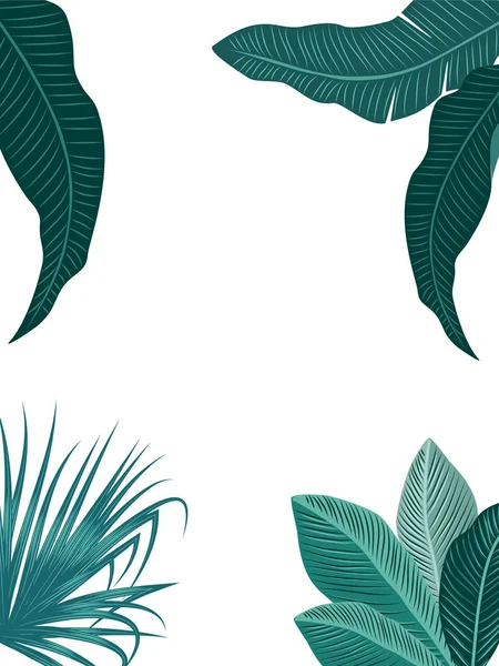 Vetor Tropical Selva Fundo Com Palmeiras Folhas Sobre Fundo Branco — Vetor de Stock