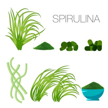 Spirulina yosun, tablet, hap, toz ve beyaz arka plan hücre kümesi. Arthrospira yosun diyet ek görüntü. Vejetaryen yiyecekler. Vektör çizim.