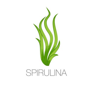 Spirulina yosun simgesi beyaz arka plan üzerinde. Arthrospira yosun diyet ek görüntü. Vejetaryen yiyecekler. Vektör çizim.