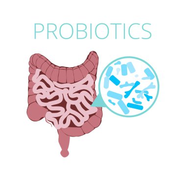 Intestinal flora vector concept with probiotics icons. Probiotics image visual, bacteria Lactobacillus, bifidobacterium, vector illustration clipart