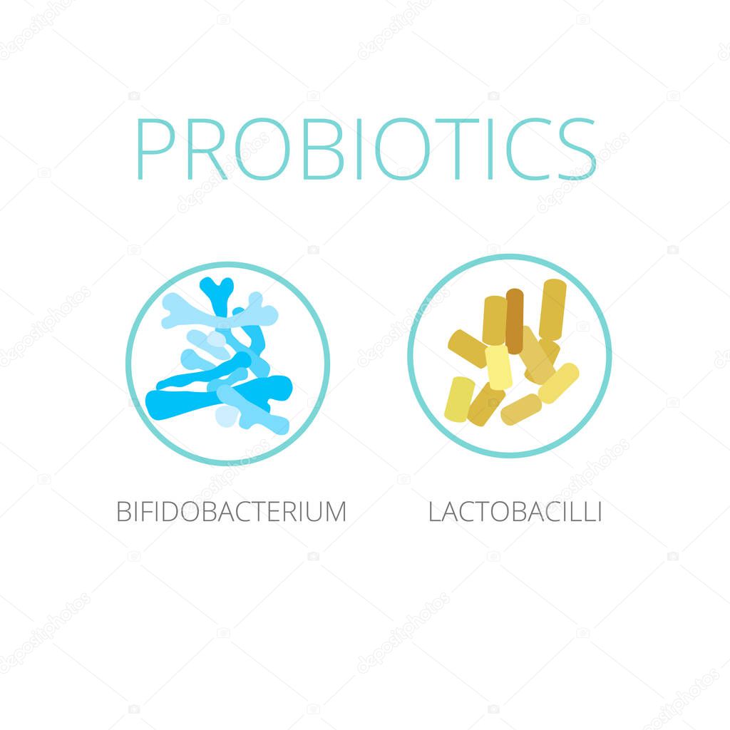 Probiotics Lactobacilli and Bifidobacterium, vector illustration. Good bacteria microorganism isolated on white background. Probiotics vector concept.