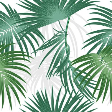 Tropikal bitki seamless modeli, tropikal palmiye ağacının yaprakları. Vektör arka plan.