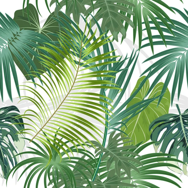 Tropical Plant Seamless Pattern Tropical Leaves Palm Tree Vector Background — Stock Vector