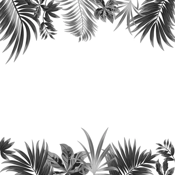 Fond Jungle Tropicale Vectoriel Avec Palmiers Feuilles Sur Fond Blanc — Image vectorielle