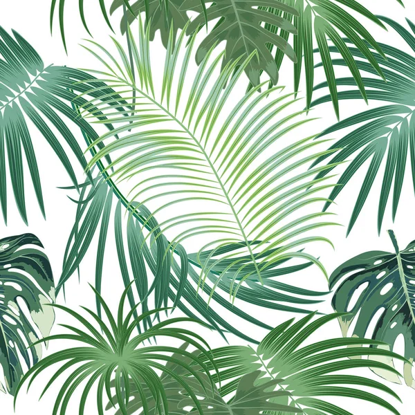 Tropical Selva Palma Deixa Padrão Sem Costura Fundo Vetorial —  Vetores de Stock
