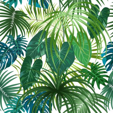 Yaprak monstera dikişsiz desen. Palmiye tre tropikal yaprakları