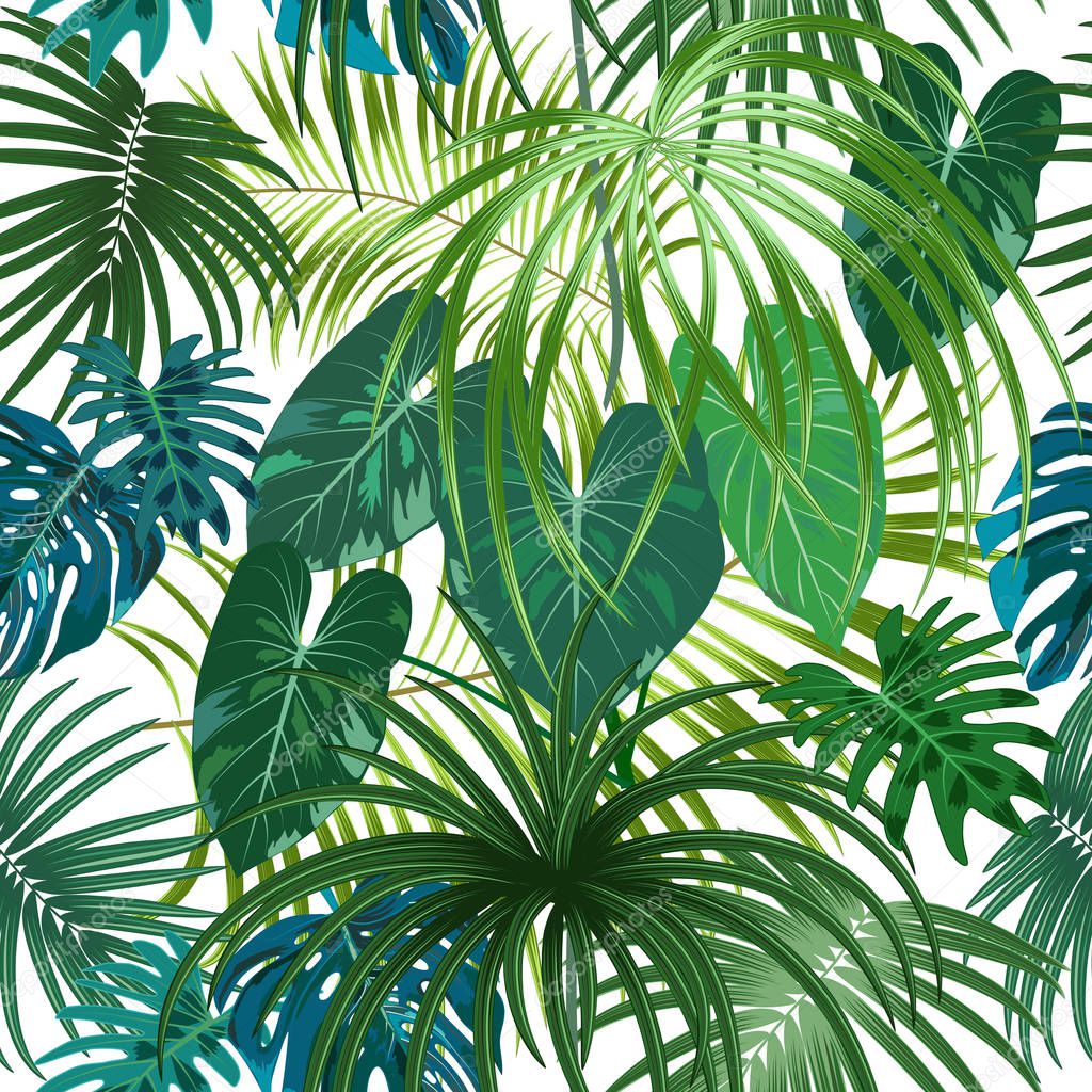 Seamless pattern of leaves monstera. Tropical leaves of palm tre