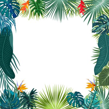 Palmiye ağaçları ve beyaz yaprakları ile vektör tropikal orman çerçeve