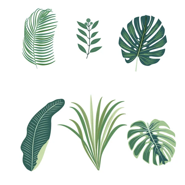 Hojas de palmeras tropicales, hojas de la selva — Vector de stock