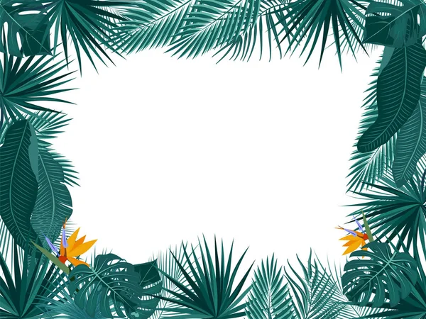 Quadro de selva tropical vetorial com palmeiras e folhas em branco —  Vetores de Stock