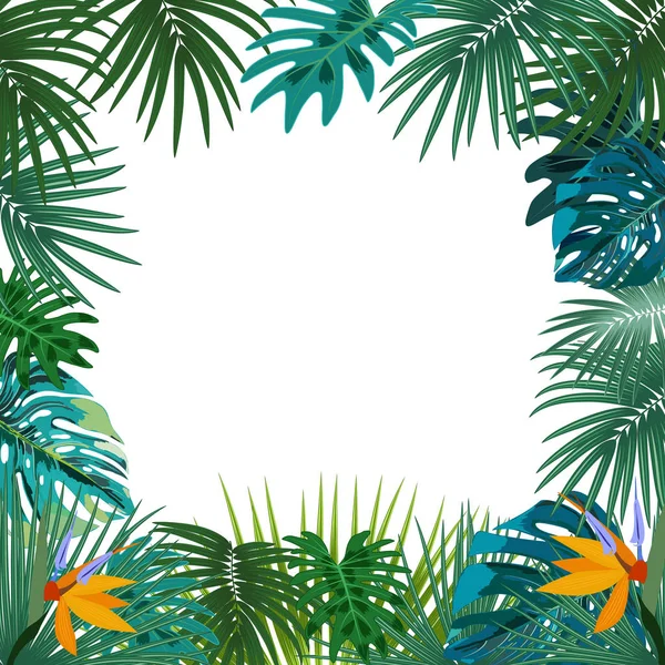 Векторна рамка тропічних джунглів з пальмами та листям на білому — стоковий вектор