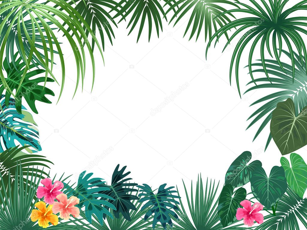Vector tropical jungle frame with palm trees and leaves on white