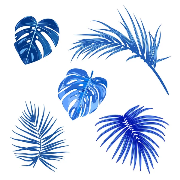 Folhas de palma tropicais azuis, folhas da selva, vetor botânico illus — Vetor de Stock