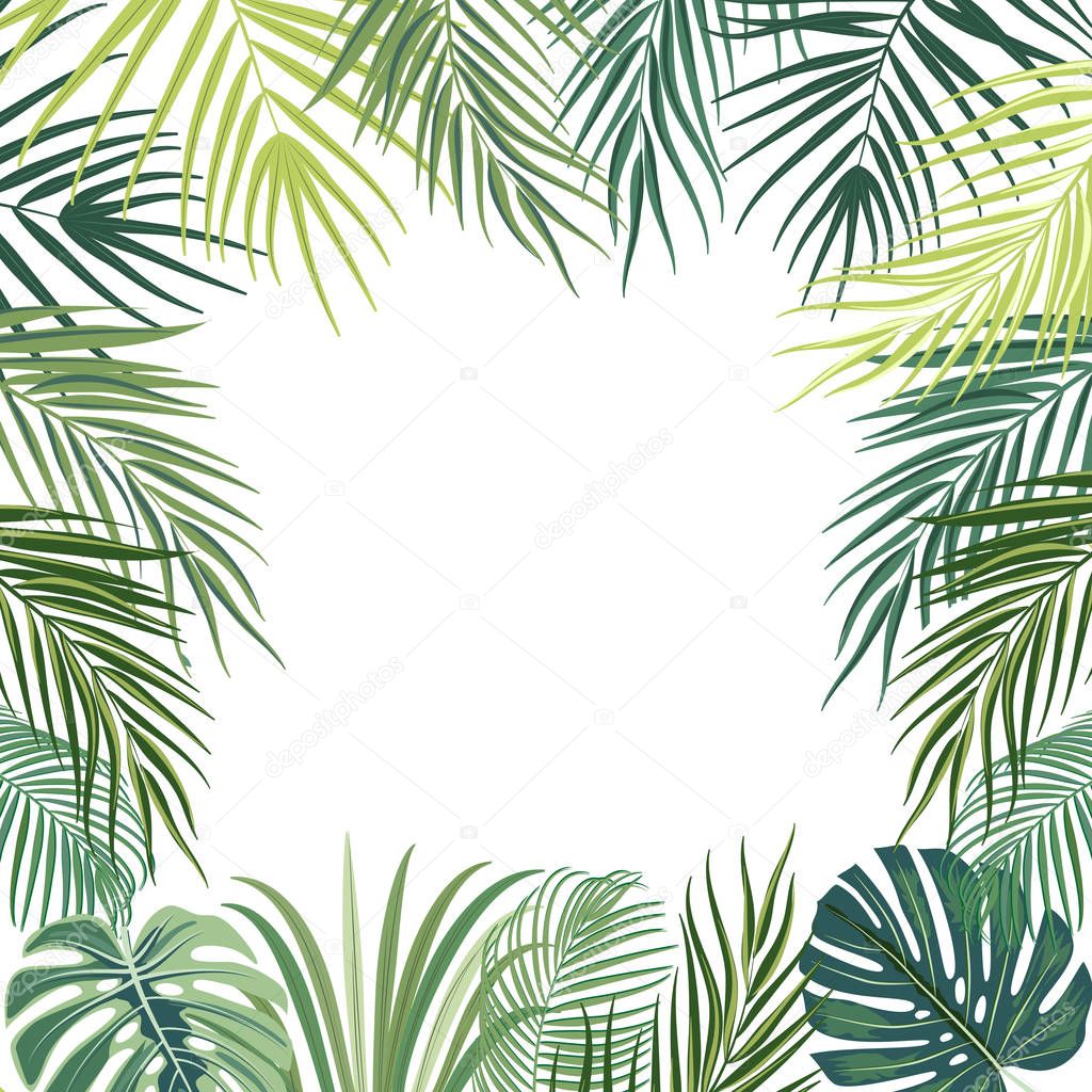 Vector tropical jungle frame with palm trees, flowers and leaves