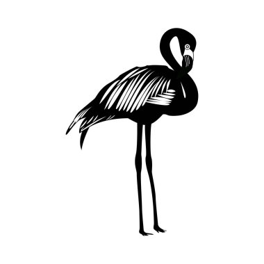 Beyaz arka plan üzerinde izole flamingo siluet