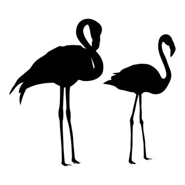 Flamingo siluetleri beyaz arkaplanda izole edildi