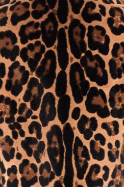 Leopar kürk doku, vaşak, noktalar ile, tasarım için, arka plan, boş alan, mock-up boş