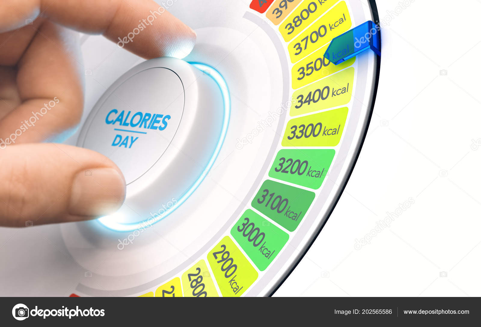 dieta per guadagnare 2000 calorie