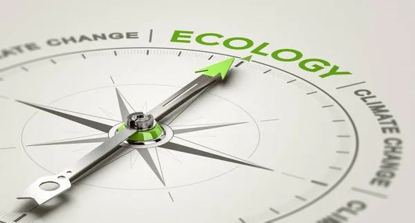 Environmental Responsibility. Ecology For Climate Change or Glob — Stock Photo, Image