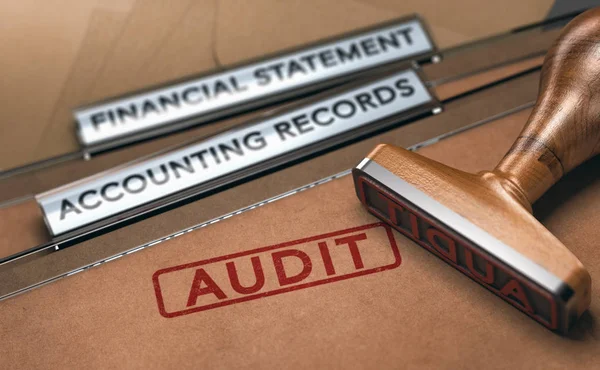 Pénzügyi könyvvizsgálat. A vállalati számviteli nyilvántartások vizsgálata. — Stock Fotó