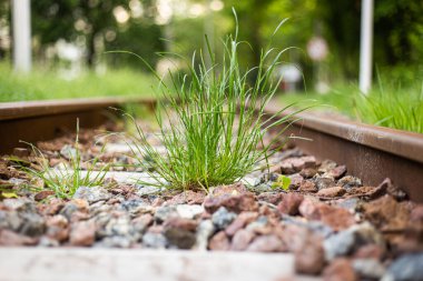Dar ölçü demiryolu, çim