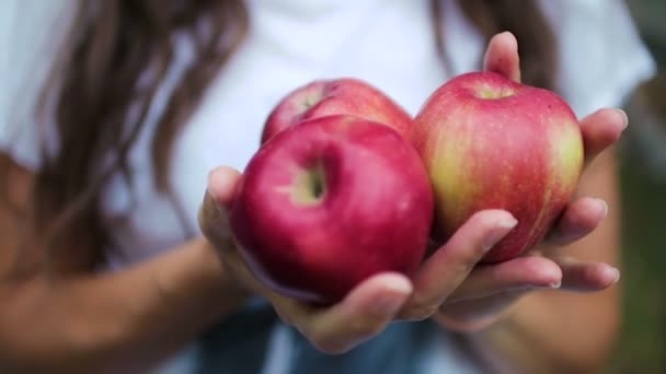Яблоки в руках девушки крупным планом — стоковое видео