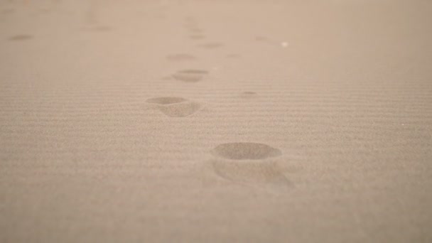 Empreintes de pas sur le sable humide au coucher du soleil — Video