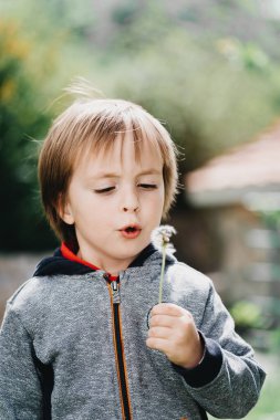 Küçük çocuk güneş ışığında karahindiba gibi eser.