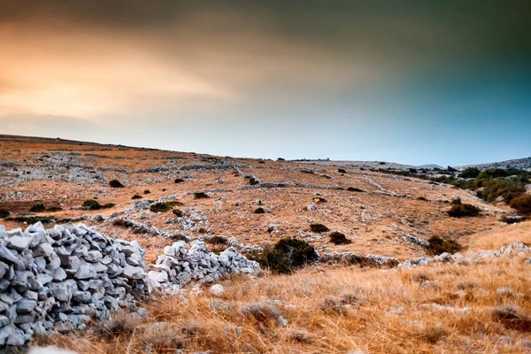 Field Landscape Sunburned Grass Sunset — Stock Photo, Image