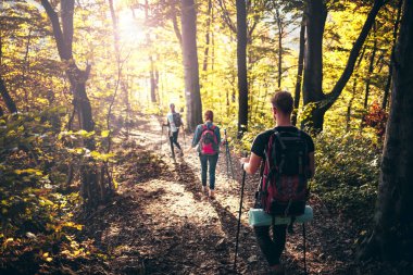 Orman yolu üzerinde sırt çantaları ile Trekking, turist grubu