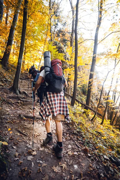 Group of friends with backpacks trekking together and climbing in forest
