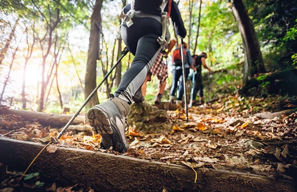 Randonneuse Femme Avec Des Bâtons Trekking Grimpe Raide Sur Sentier — Photo