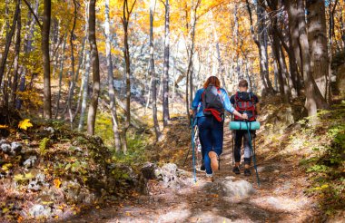 Doğada yürüyüş, ormanda yürüyüş yürüyüş yürüyüş yürüyüş yürüyüş yürüyüşbalıkçıları grubu