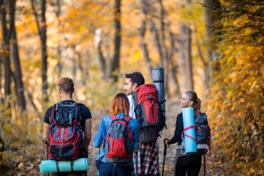 Sırt çantaları ile arkadaşlar doğada trekking, ormanda yürüyüş, geri görünümü