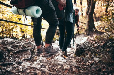 Kayalık orman yolu üzerinde sırt çantaları ile trekking sırasında Gezginler