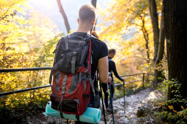 Travelers while trekking with backpacks on forest trail