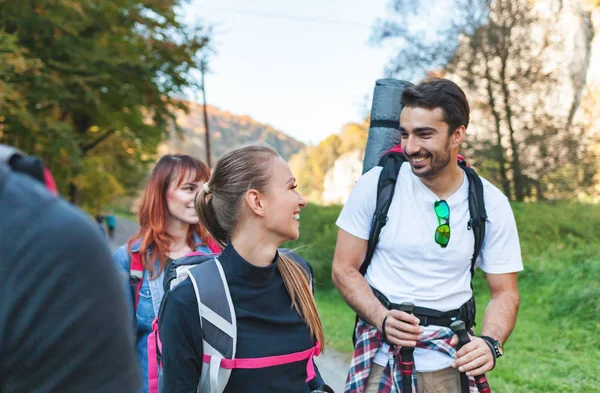 Group of hikers exploring places, trekking in the nature