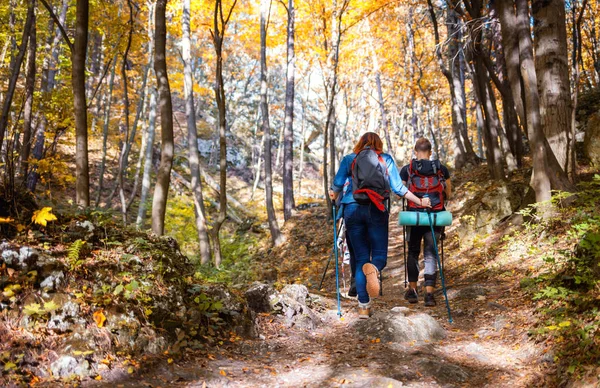 Doğada yürüyüş, ormanda yürüyüş yürüyüş yürüyüş yürüyüş yürüyüş yürüyüşbalıkçıları grubu
