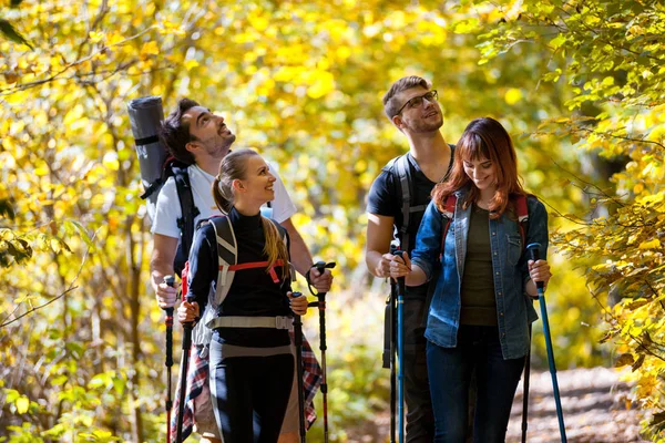 Wandergruppe Wandert Der Natur Wandert Durch Den Wald — Stockfoto