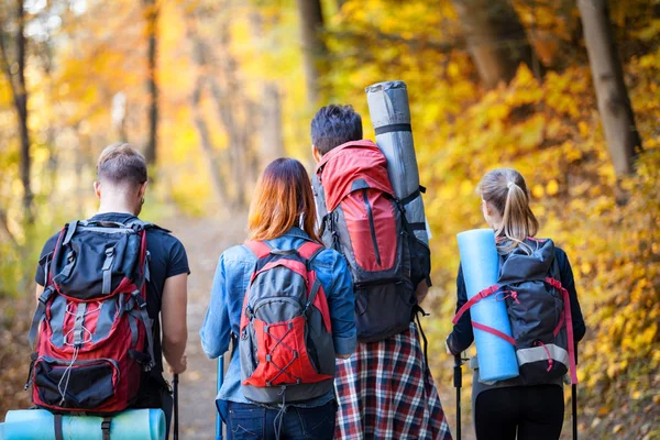 Doğada yürüyüş, ormanda yürüyüş, geri görünümü yürüyüş yürüyüş yürüyüş yürüyüş grubu