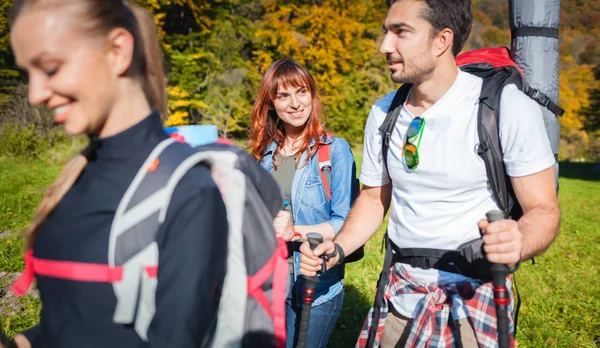 Gruppe Lächelnder Freunde Die Gemeinsam Der Natur Wandern Wanderer Die — Stockfoto