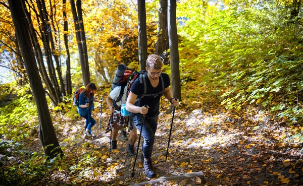 Skupina Přátel Kteří Procházejí Horské Stezce Turistická Stezka — Stock fotografie