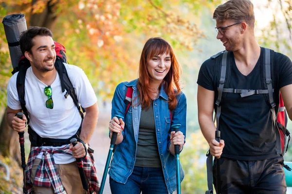 Riends Backpacks Trekking Nature Walking Woods — Stock Photo, Image