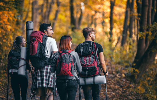 Friends with backpacks trekking in nature, walking through the woods, back view