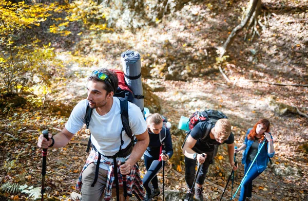 Amigos Caminhando Juntos Uma Floresta — Fotografia de Stock