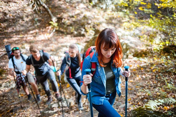 Amici Che Camminano Insieme Bosco — Foto Stock